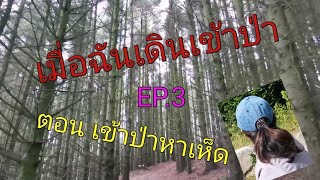 เมื่อฉันเดินเข้าป่าEP.3 ตอน เข้าป่าหาเห็ด