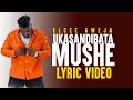 Elcee Gweja  Ukasandibata Mushe (Lyric Video)