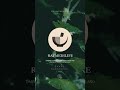 龜鹿二仙膠｜raymedilife 健康生活 健康生活 chinesemedicine 中醫 中醫 healthylifestyle 健康飲食 herbaltea 自然療法 中藥