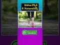 knee pains arthritis 4 natural tips kneepain osteoarthritis shorts