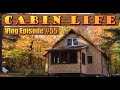 OFF GRID CABIN LIFE   Building The Workshop, Greenhouse and Finishing The Cedar shingles siding.