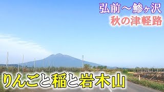 秋の津軽路をドライブ【車載動画　青森県弘前市～鯵ヶ沢町】収穫を迎えるりんごや稲を見守る岩木山 Aomori scenery Drive through the apple field