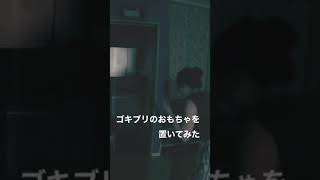 【イタズラ】ゴキブリのおもちゃを置いてみた【ドッキリ】