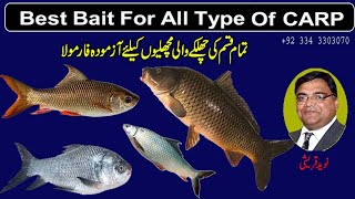 How To Make Best Bait For Carp || Gulfam Ka Chara || Safad Atta || NQ 51