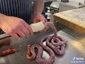 how the sausage is made tiktok its gross