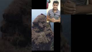 এত উপরে কিভাবে উঠল তারা  #shorts #shortvideo #shortsviral #1millionviews #1000subscriber #foryou.