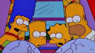 Hasty Generalization Simpsons Clip