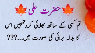 Best Islamic Quotes In Urdu / Life Changing Quotes / Golden Word / al qadiru
