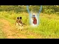 THE DARK WITCH| The Young Warrior Came Wit Superior Powers 2 STOP D WICKED Goddess - African Movies