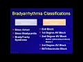 5.3. Summary of Bradyarrhythmias [Hong Kong University]