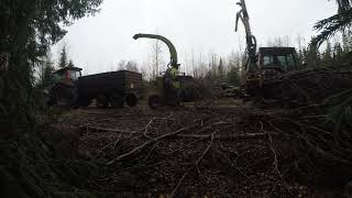 Risujen haketus Junkkari HJ500 ja Valmet 6600. Chipping of twigs.