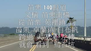 烏石坑甜柿  腳踏車隊  苗140縣道  烏石坑甜柿季 20210926