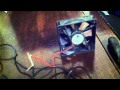Powering two computer fans with an AC adapter Powering two computer fans with an AC adapter