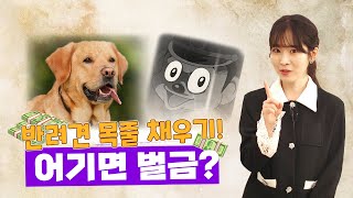 강아지와 산책할 때 '이것' 안 하면 벌금! #Shorts