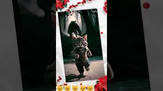 বিড়ালছানাটা ভয়ংকর একটা দুঃস্বপ্ন#cat #catcatfunnyfightcompilation #youtubeshorts#trending#shorts