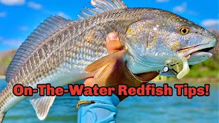 On-The-Water Tips For Fall Redfish (How & When To Locate Redfish)