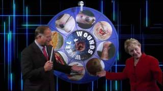 Wound Rounds Live - S1E1 - Wheel of Wounds