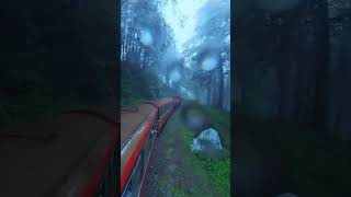 阿里山小火車在雨中 #阿里山 #阿里山小火車 #台灣  #alishan #insta360 #insta360onex2 #shorts #shortsvideo #shortstravel