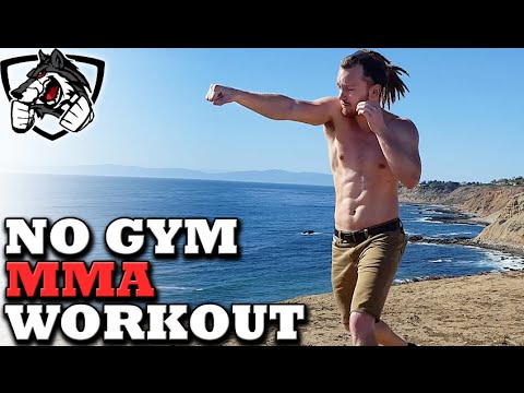 No Gym Boxing/MMA Workout -- Training at Home! No Gym Boxing/MMA Workout -- Training at Home!