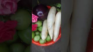 টাটকা সবজি #vilagefoodchennel #food