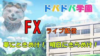 【FXライブ配信】令和2年8月26日水曜日/昨日はやらかした。今日は頑張るｗ