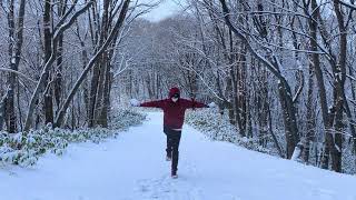 エゾリスとさらさら雪。札幌移住670日目。