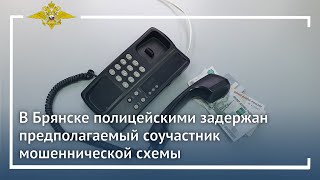 Ирина Волк: В Брянске полицейскими задержан предполагаемый соучастник мошеннической схемы