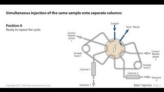 Valco simultaneous injection of the same sample onto separate columns