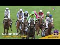 2017 shadwell turf mile stakes