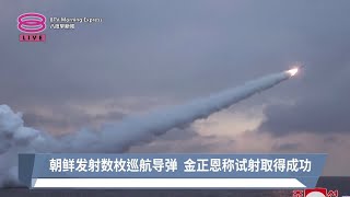 朝鲜发射数枚巡航导弹 金正恩称试射取得成功【2024.01.29 八度早新闻】