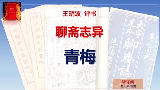 王玥波评书 《聊斋志异》之 《青梅》