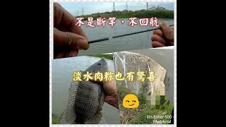 淡水肉粽練習場~冬天閃風爽點!(釣魚/fishing/沉底)