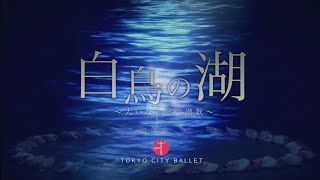 🦢藤田嗣治美術『白鳥の湖』〜大いなる愛の讃歌〜　告知映像① 【東京シティ・バレエ団】