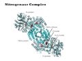 Refactoring Nitrogenase