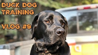 Training My DUCK DOG | PT. 9