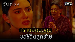 กราบอ้อนวอนขอชีวิตลูกชาย | Highlight วันทอง Ep.13 | 31 ส.ค. 66 | one31