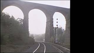 Starrucca Viaduct July 1974 (EL/D&H)