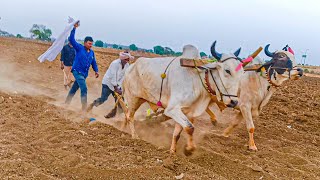 కంకోల్ అంగడి సంత తెలంగాణ సంగారెడ్డి 🐂 bulls market telangana sangareddy india