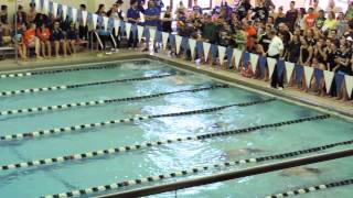 2015 PIAA District 2 AA Boys 100 Yard Breastroke