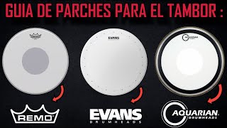 Que Parches Comprar Para El Tambor : Consejos - Distintos Modelos (Remo,Evans,Aquarian)