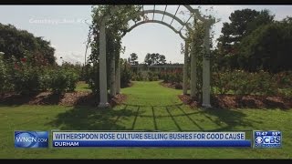 Durham company selling rose bushes to help Hospice