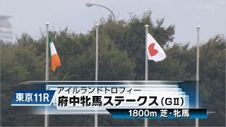 【競馬】2023年 第71回府中牝馬ステークス(GⅡ)【ディヴィーナ / M.デムーロ】