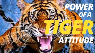 The Power Of Tiger Attitude  | Tiger motivation speech | Best Motivational Quotes 2021