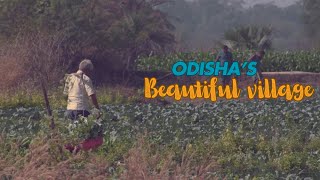 || Serene village Life ||Odisha's Beautiful Village || A Glimpse of innocence and nature's Beauty