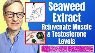 Seaweed Extract Rejuvenates Muscle \u0026 Testosterone Levels