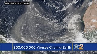 Study: Viruses, Bacteria Constantly Falling From Sky