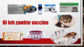 Ui leh zawhte vaccine hrang hrang, a lak dan tur leh a pawimawhnate