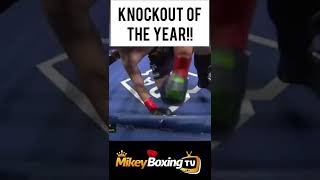 KNOCKOUT OF THE YEAR #boxing #shorts #ko