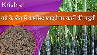 गन्ने के खेत में कम्पोस्ट खादतैयार करने की पद्धति | Method of compost preparation in Sugarcane farm