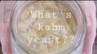 ปัญหาที่เจอในการทำ Scoby for kombucha - Ep 2